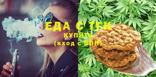 индика Алзамай