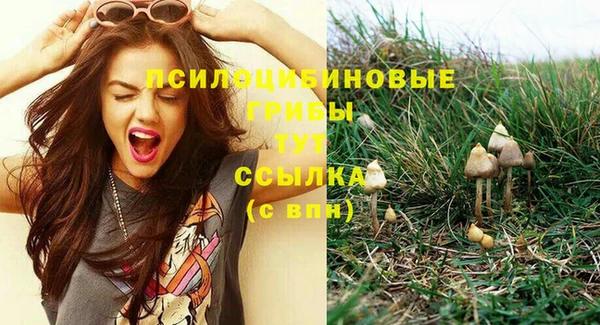 индика Алзамай