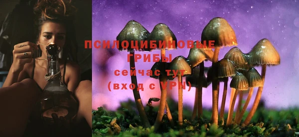 молекула духа Алексин