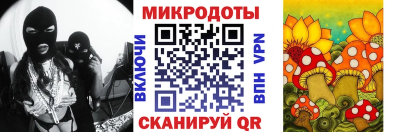 Галлюциногенные грибы Psilocybine cubensis Златоуст
